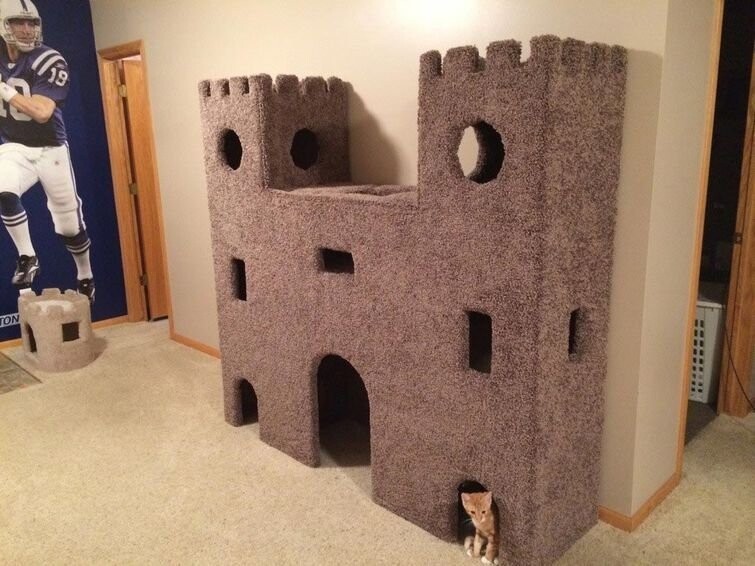 Или большого кошачьего замка для крошечного котенка?