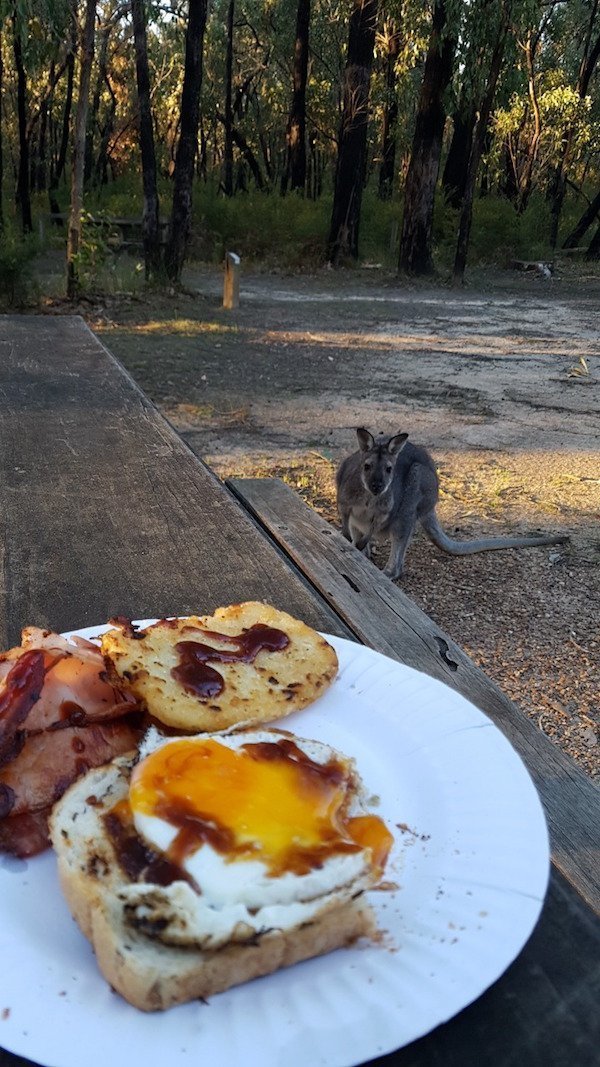 Австралийский завтрак