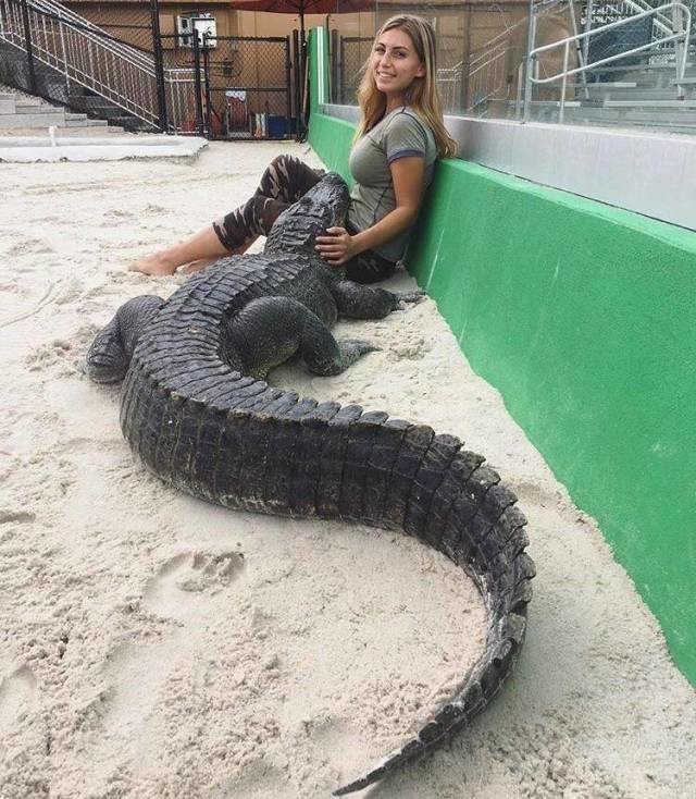 Девушка с крокодилом