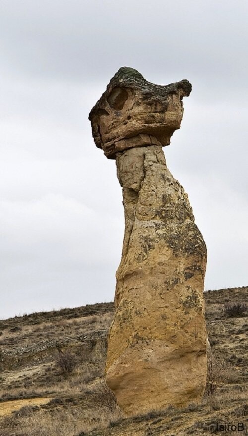 Города и веси: Çavuşin