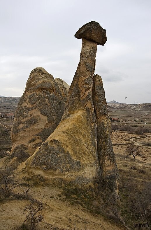 Города и веси: Çavuşin