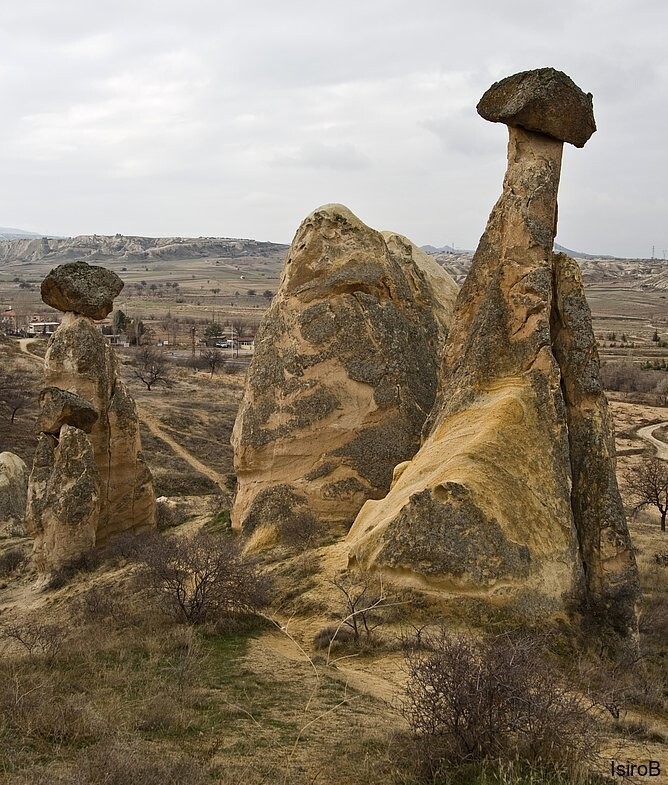 Города и веси: Çavuşin