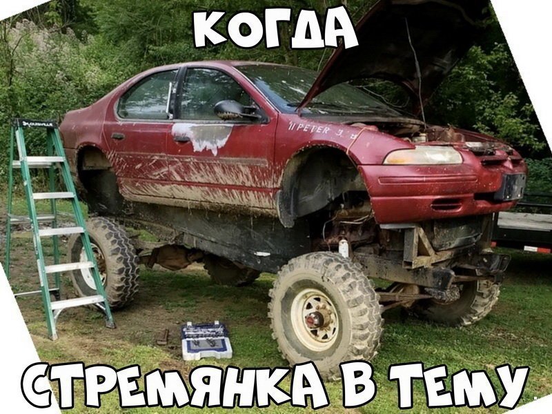 Автовсячина