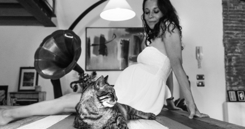 Фотограф развеивает предубеждения беременных к кошкам