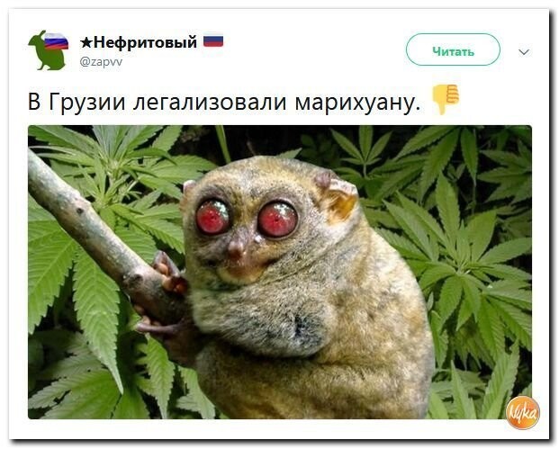 Политические коментарии - 550