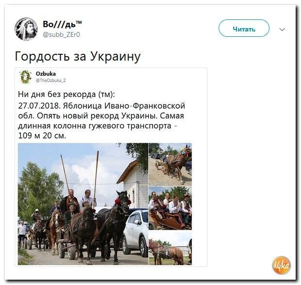 Политические коментарии - 550