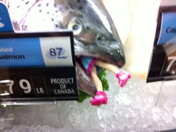 15. "Я увидел это в рыбном отделе нашего супермаркета"