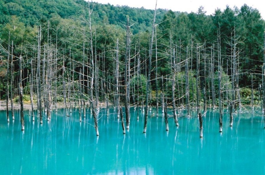 10. Голубой пруд на острове Хоккайдо, Япония 