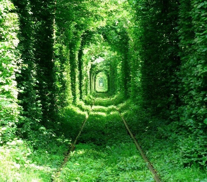 6. "Тоннель любви" у поселка Клевань, Украина