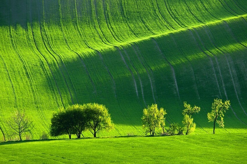 20. Зеленые луга Моравии, Чехия 