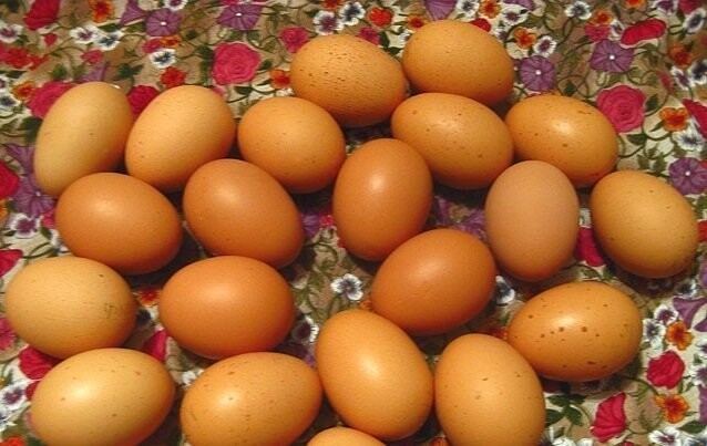 Куры, несущие разноцветные яйца. Часть первая