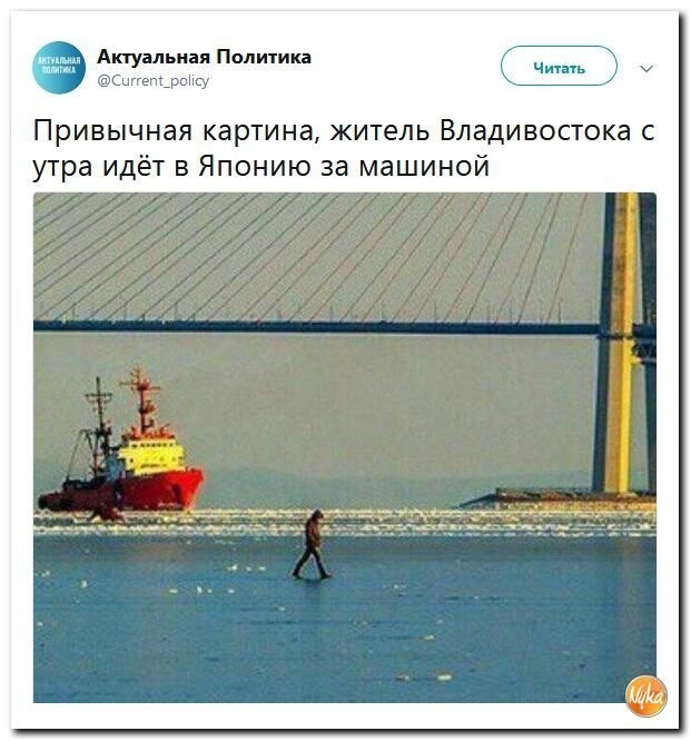 Политические коментарии - 551