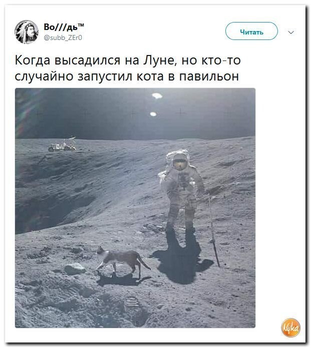 Политические коментарии - 551