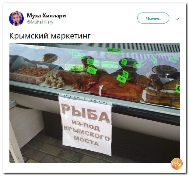 Политические коментарии соцсетей - 552