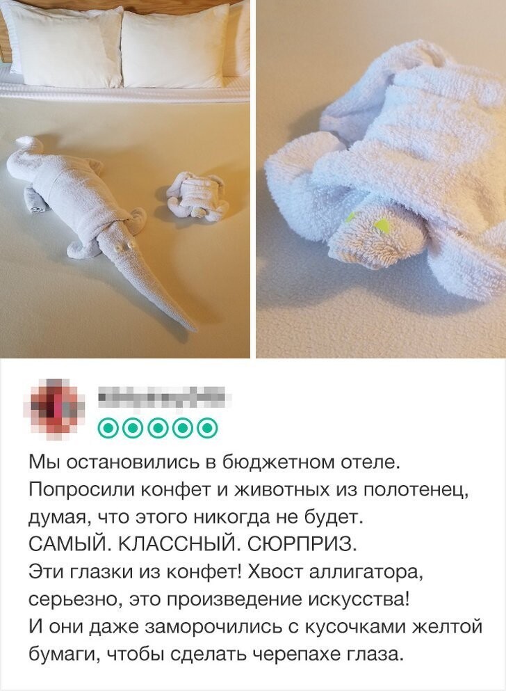 20 отельных сюрприза, которые заставят вас улыбнуться