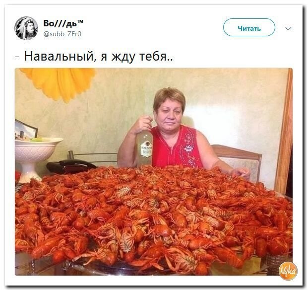 Политические коментарии соцсетей - 553