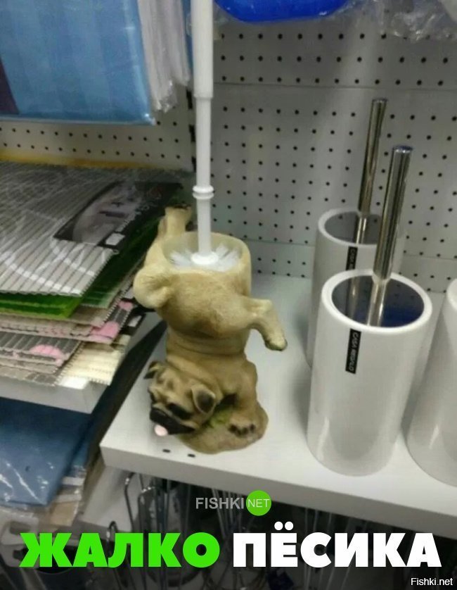 Бедный пёся