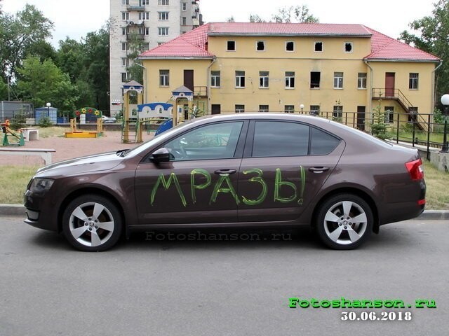 Автовсячина