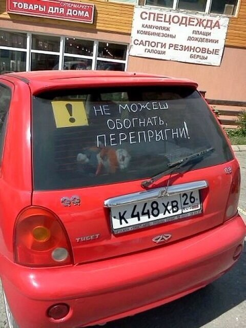 Автовсячина