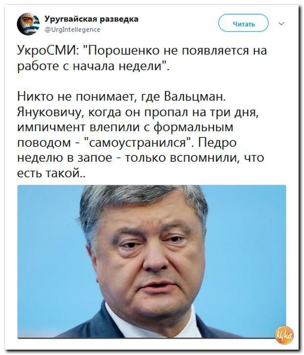 Политические коментарии соцсетей - 554