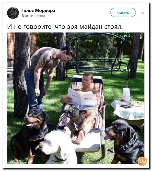 Политические коментарии соцсетей - 554