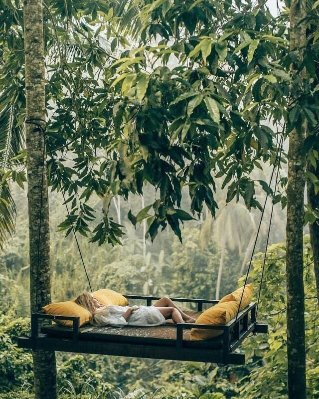 Отдых в тропиках