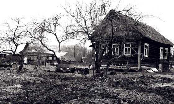 Новгородским медикам пришлось 8 километров транспортировать пациентку на носилках