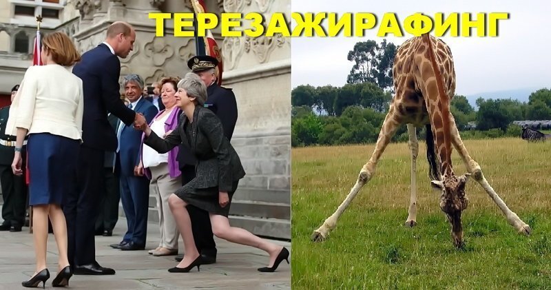 Жирафинг по-английски - элегантен почти как скрипалинг