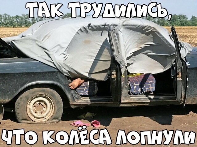 Автовсячина