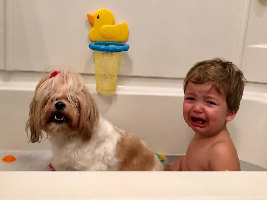 Услышав грозу, собака прыгнула в ванну к малышу