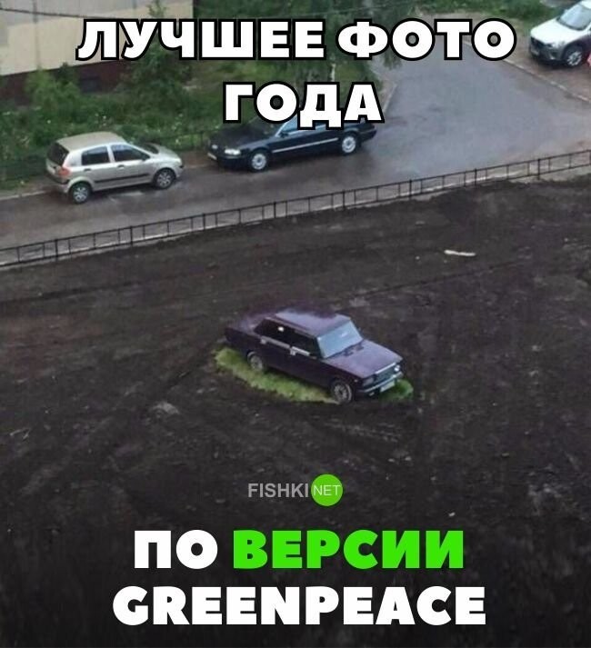 Лучшее фото года по версии Greenpeace