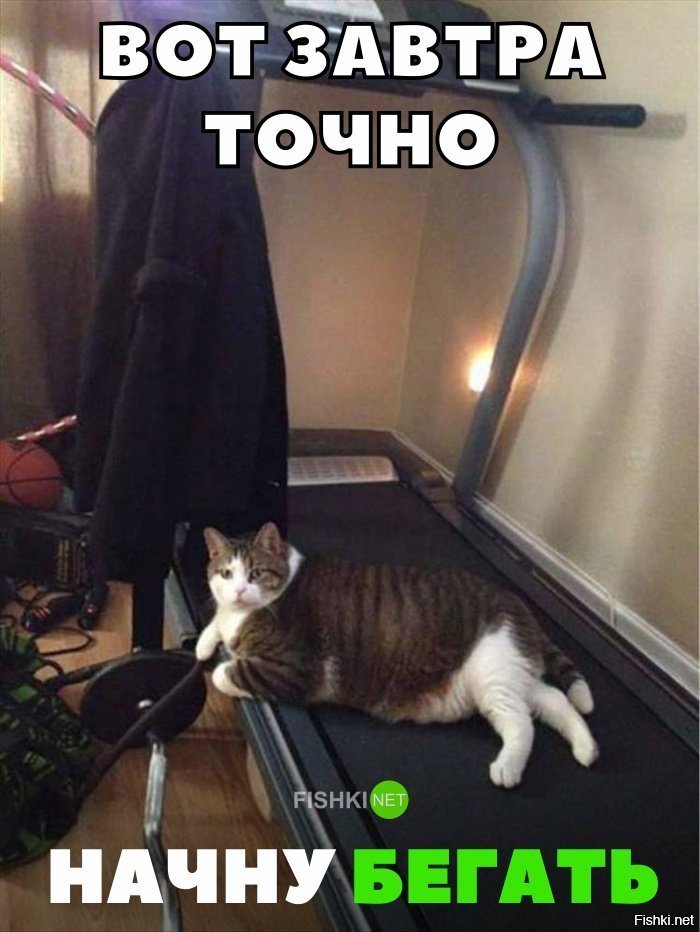 Завтра точно начну бегать
