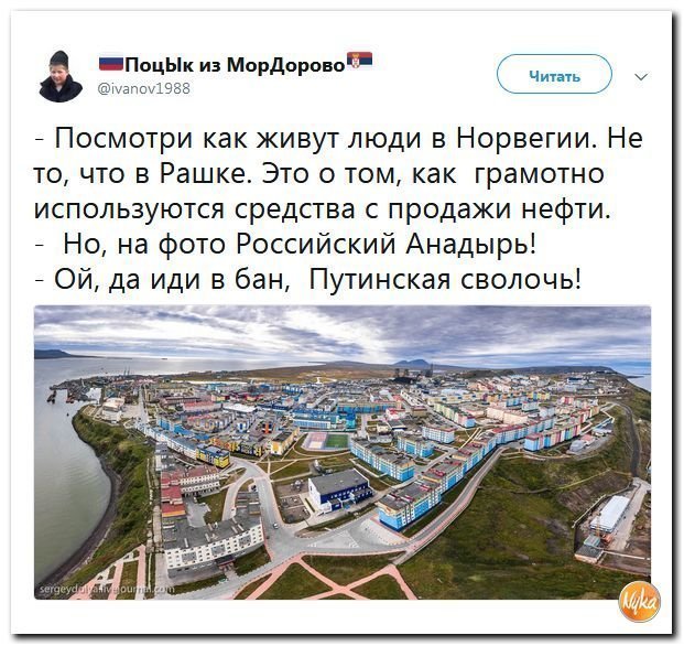 Политические коментарии соцсетей - 556