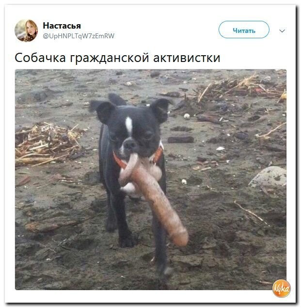Политические коментарии соцсетей - 556