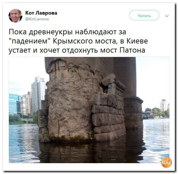 Политические коментарии соцсетей - 556