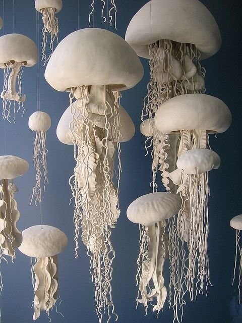 И медузы