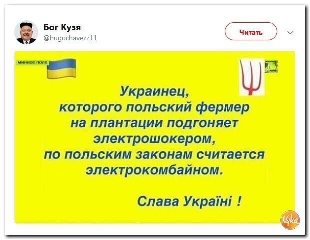 Политические коментарии соцсетей - 558
