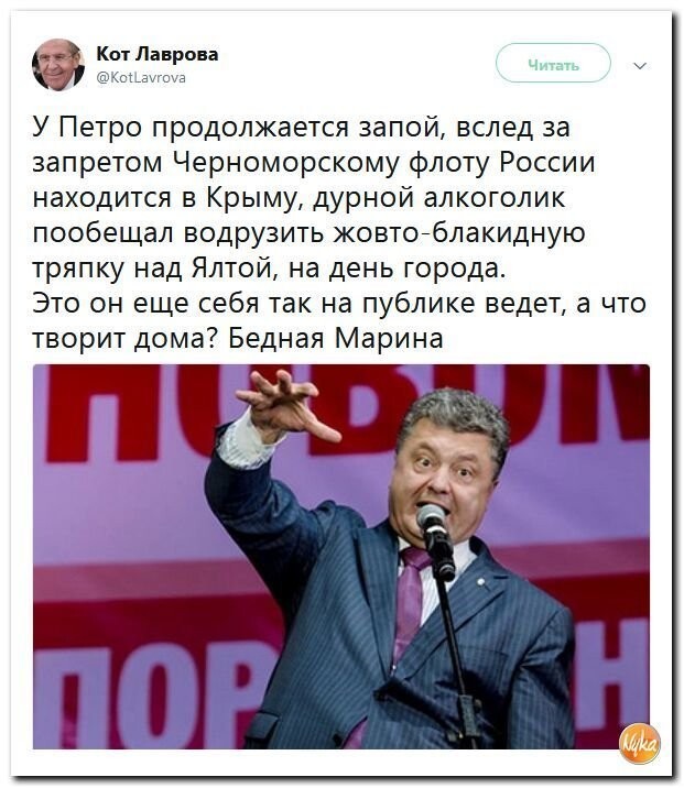 Политические коментарии соцсетей - 558