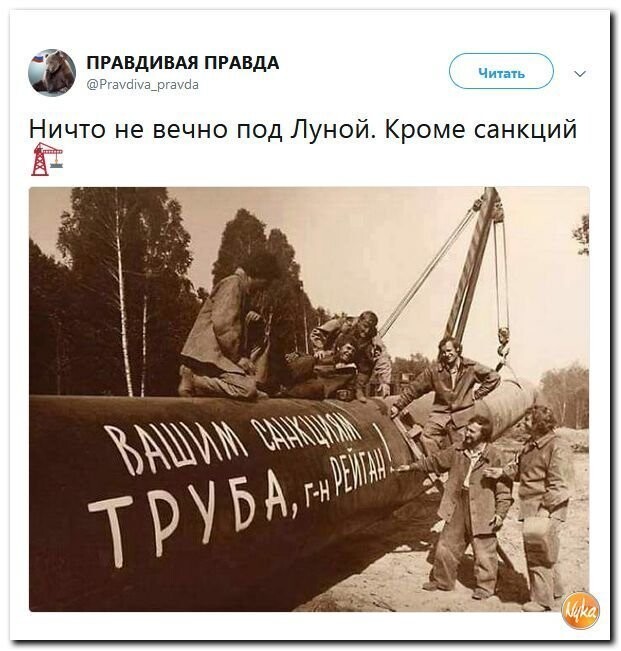 Политические коментарии соцсетей - 558
