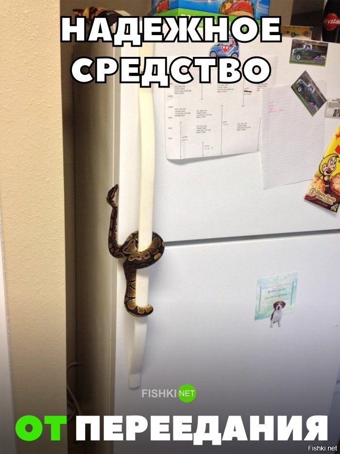 Средство от переедания
