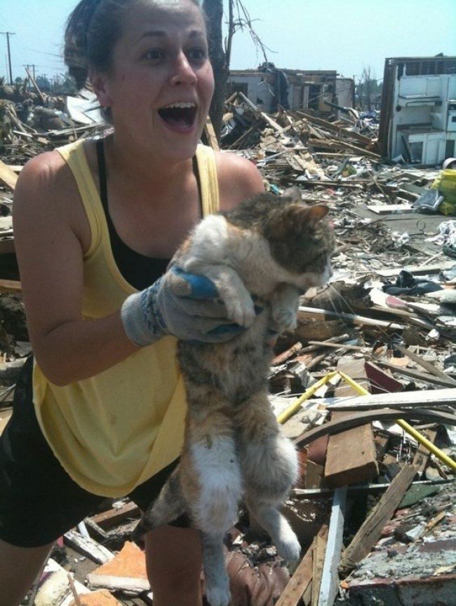 12. Кошка потерялась во время торнадо, а потом хозяйка нашла ее. Живую!