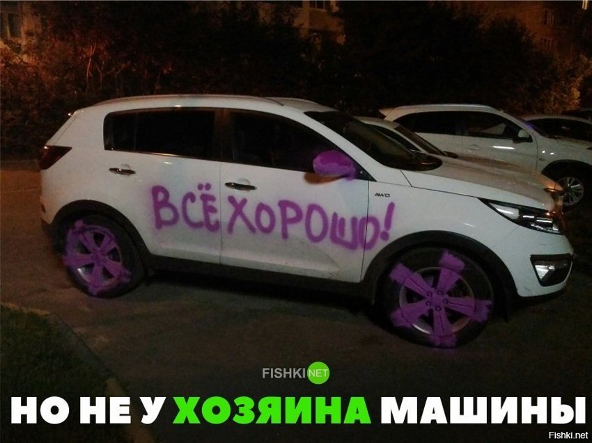 Но не у хозяина