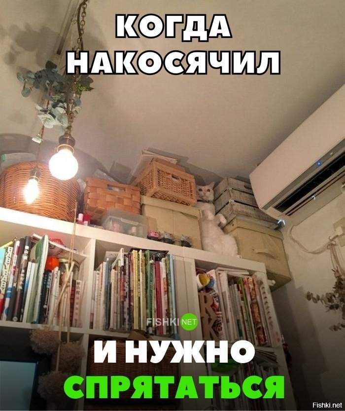 Когда накосячил и нужно спрятаться