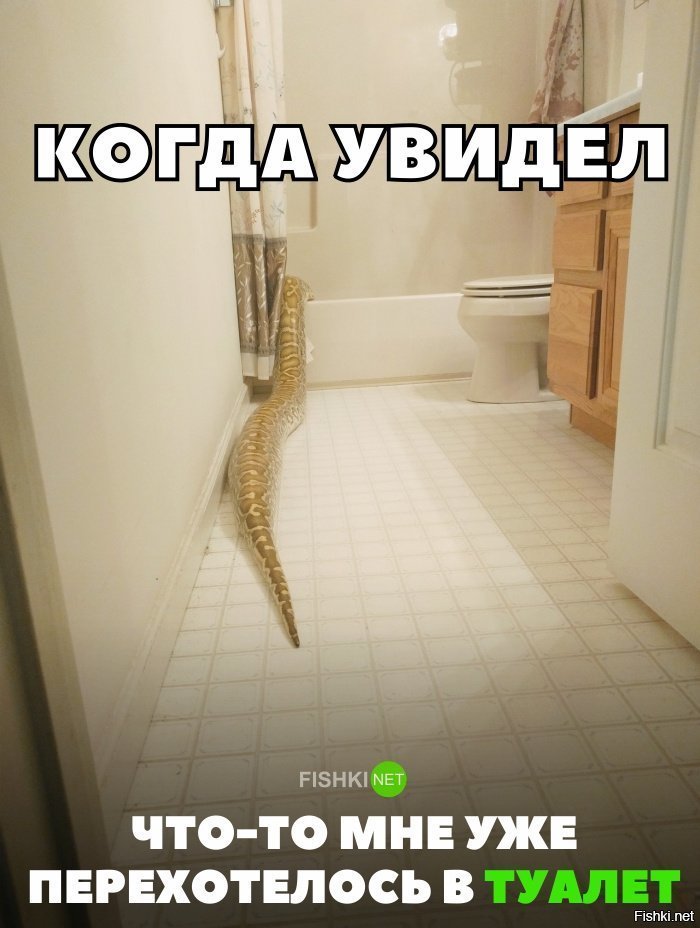 Перехотелось в туалет