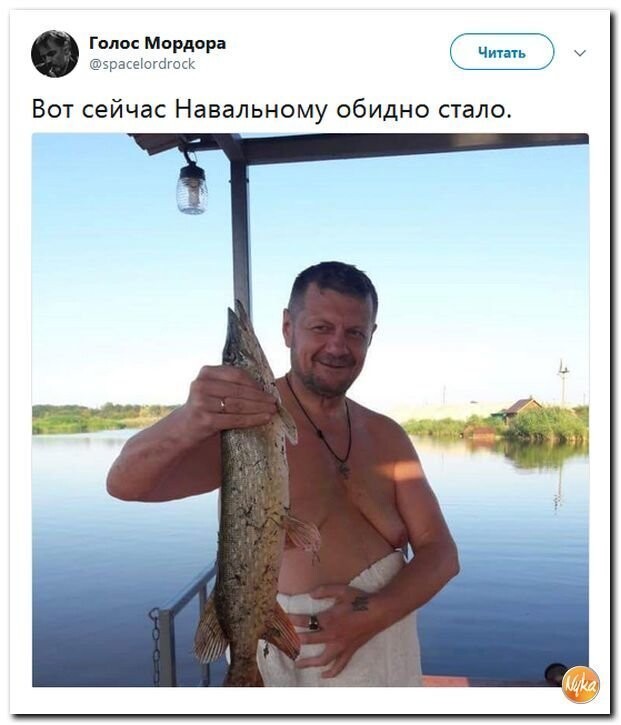 Политические коментарии соцсетей - 560
