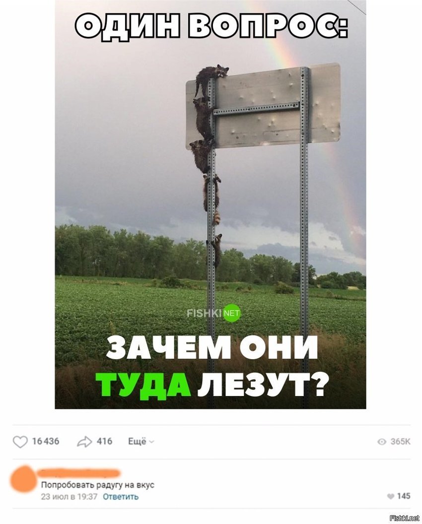 Зачем они туда лезут?