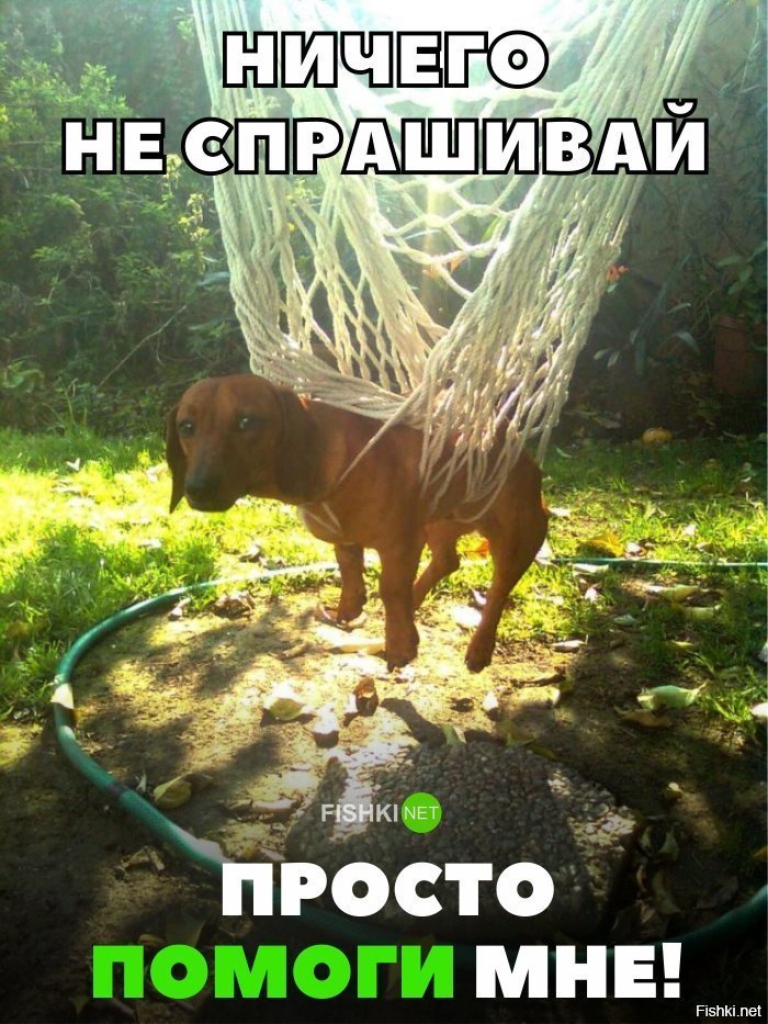 Не спрашивай. Просто помоги