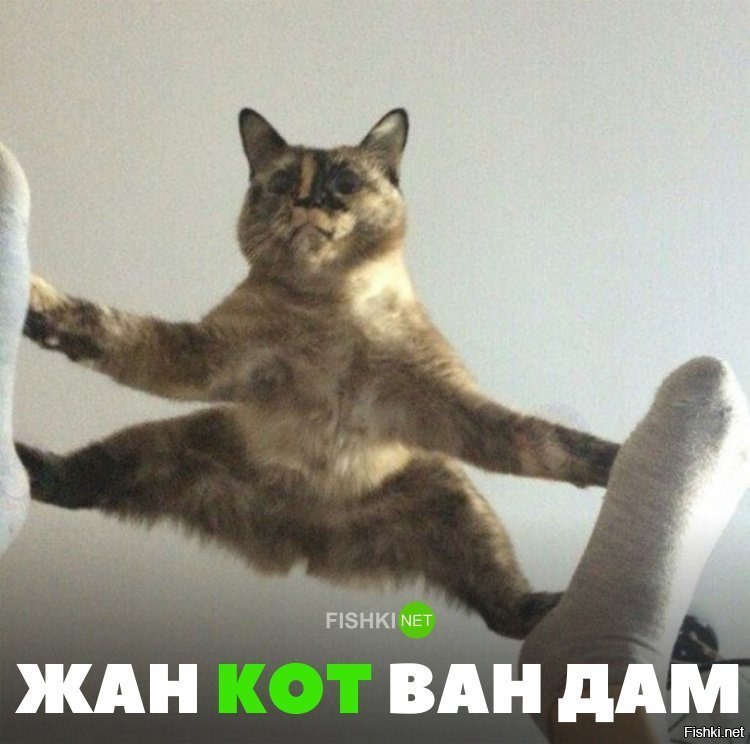 Жан кот ван дам