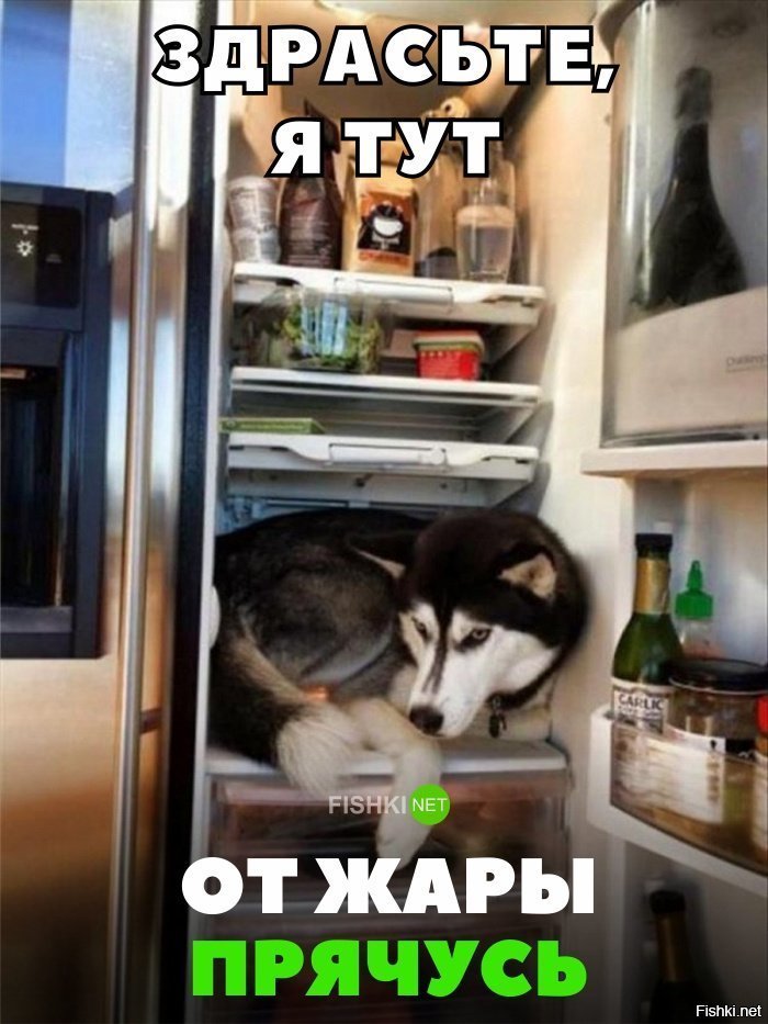 От жары прячусь