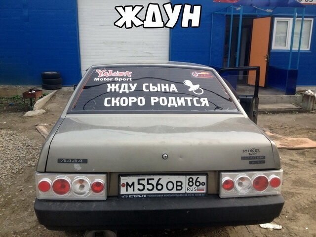 Автовсячина